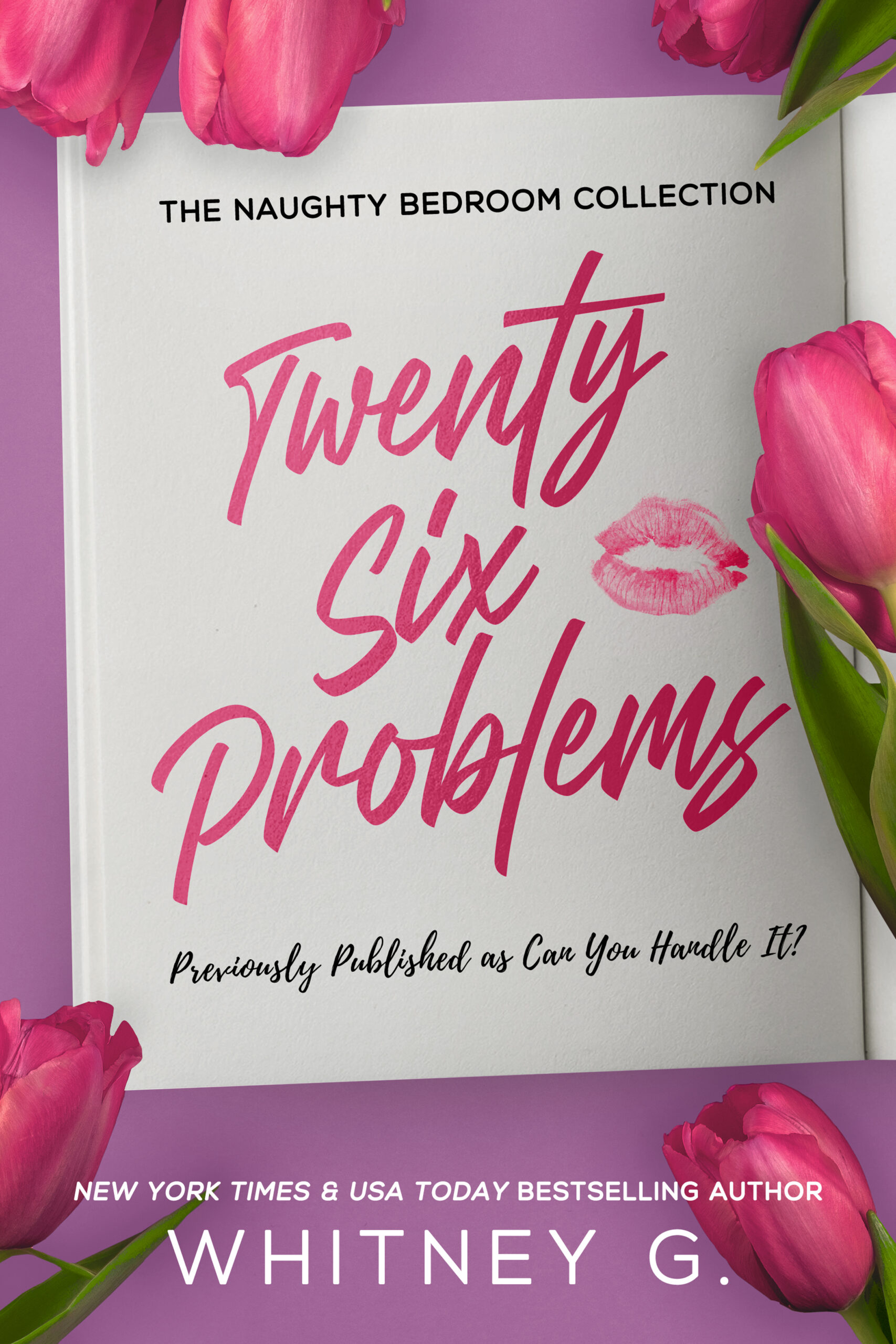 Twenty-Six Problems: A Naughty Novella <3