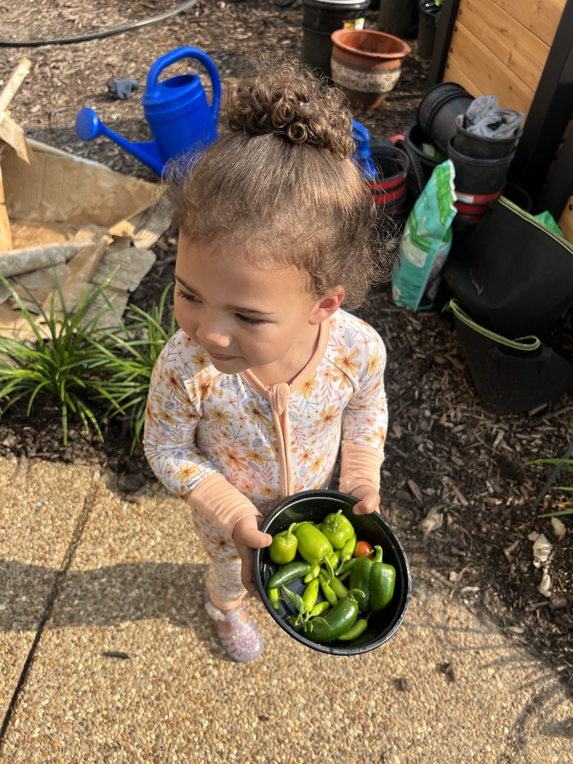 June Recap: Harvesting Veggies, Time with Baby G, & a Double Release Day <3
