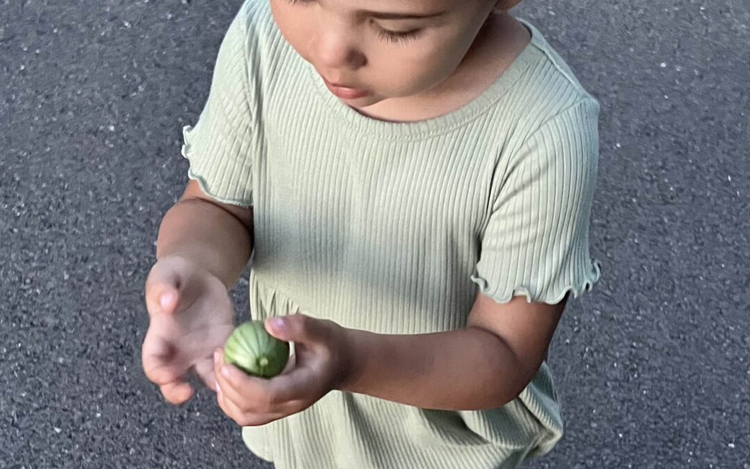 A Random Sunday Checklist <3