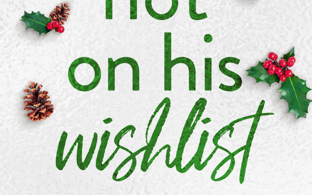 Cover Reveal: Not on His Wish List